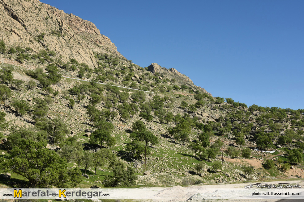 جاده قائمیه