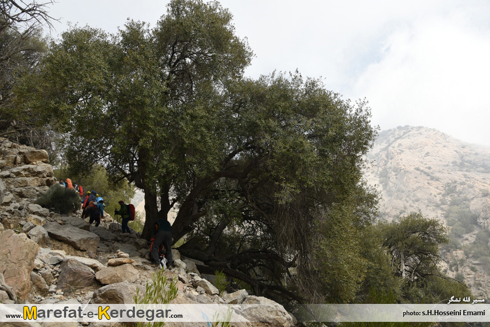 کوه های جنوب ایران کوه های جنوب ایران
