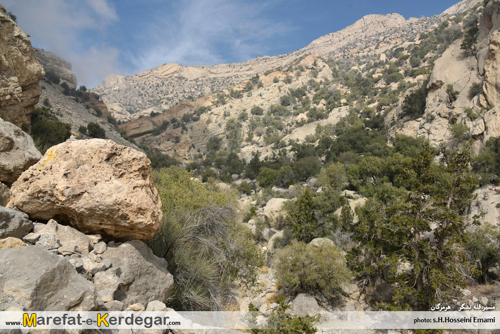 کوه های جنوب کشور کوه های جنوب کشور