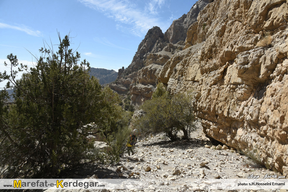 بندرعباس گرام بندرعباس گرام