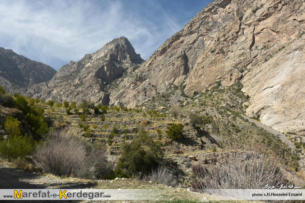 جنوب گردی جنوب گردی