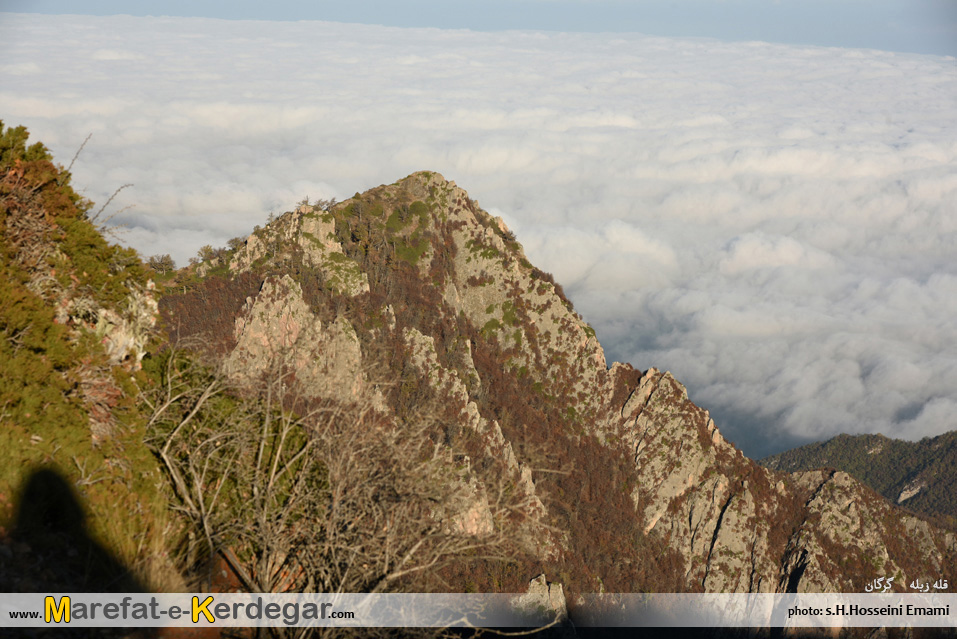 طبیعت گلستان