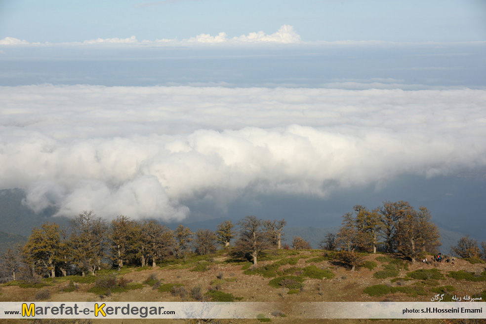 کوه های جنگلی استان گلستان