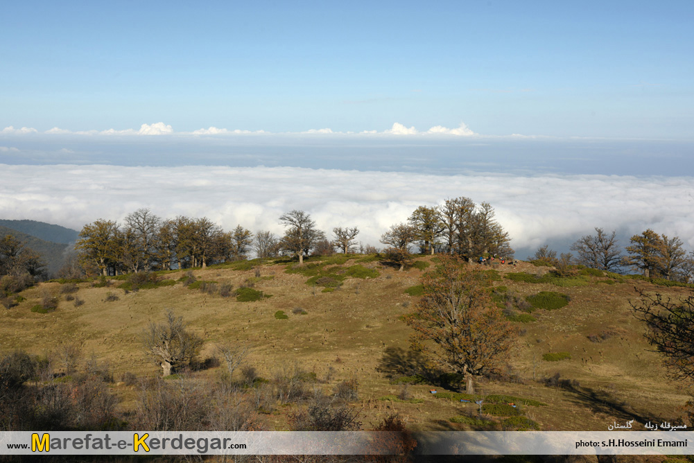 کوه های جنگلی استان گلستان