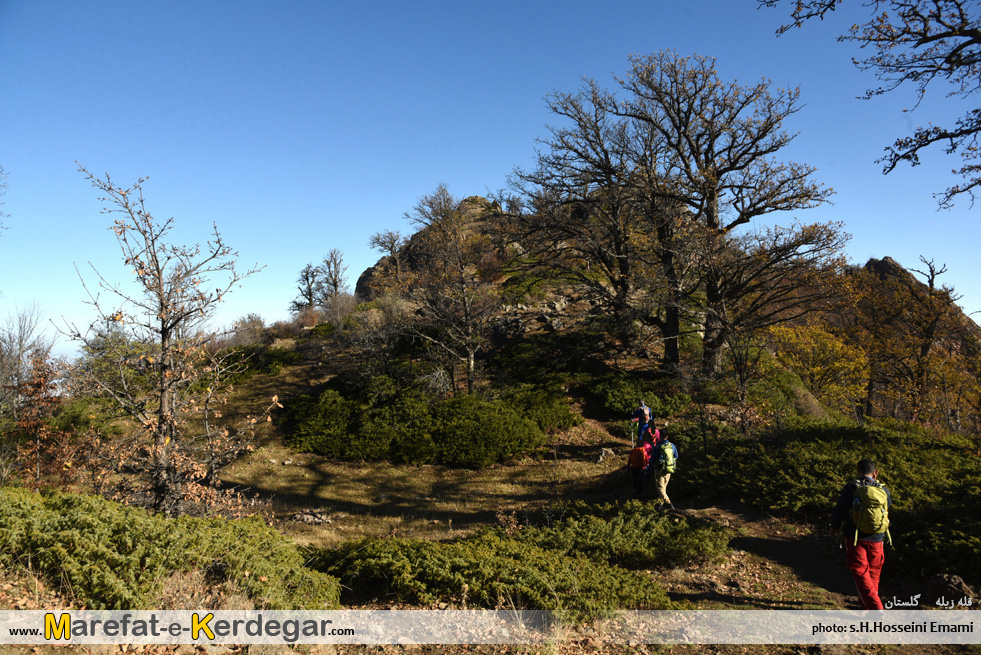 کوه های جنگلی ایران