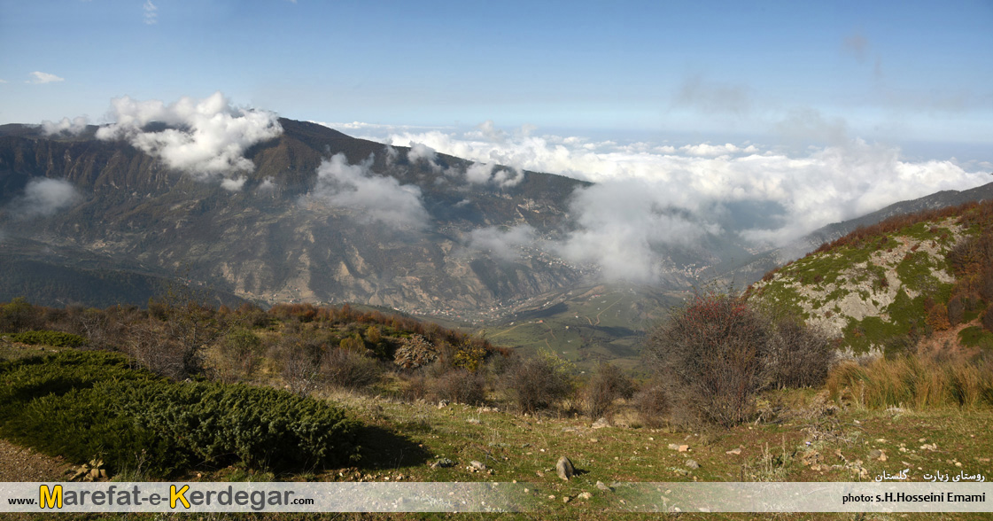 جنگل های ایران