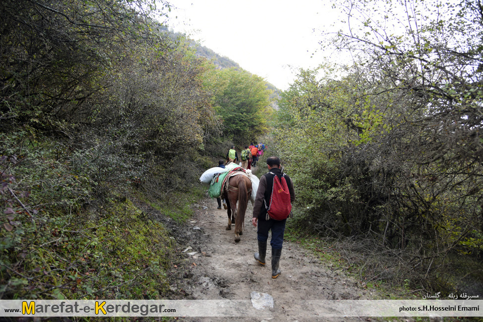 جاهای دیدنی گرگان