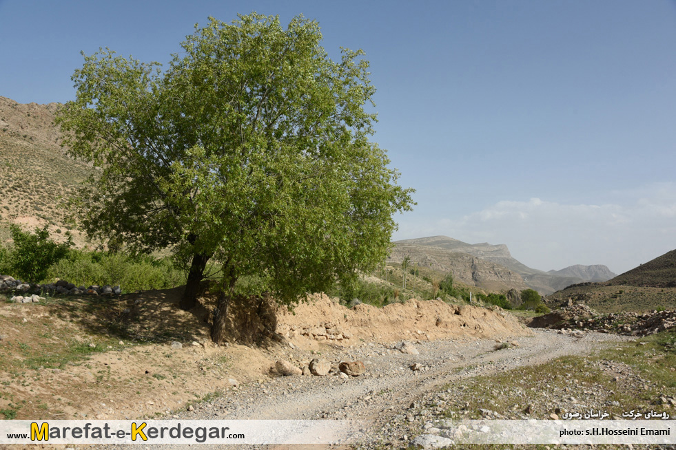 طبیعت مشهد طبیعت مشهد