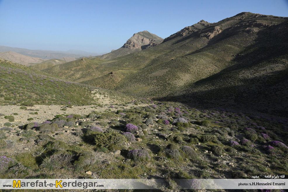 کوهپیمایی در مشهد کوهپیمایی در مشهد