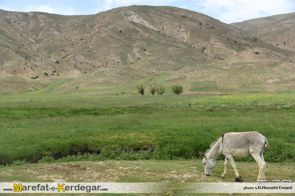 روستای خرکت روستای خرکت