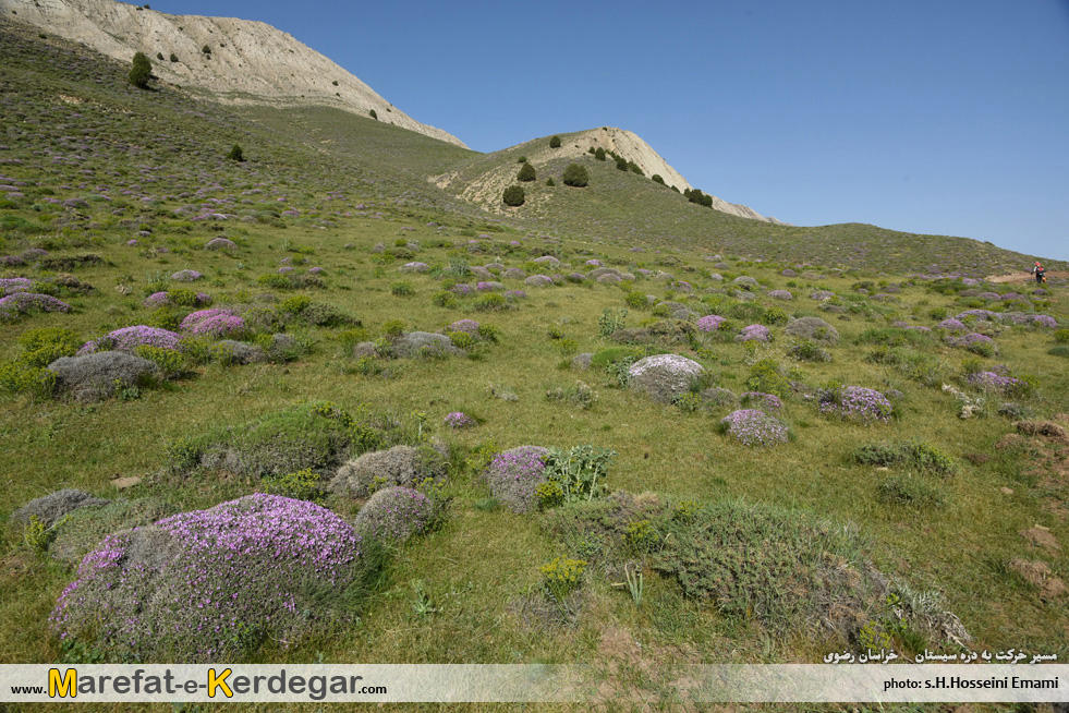 جاهای دیدنی هزارمسجد جاهای دیدنی هزارمسجد