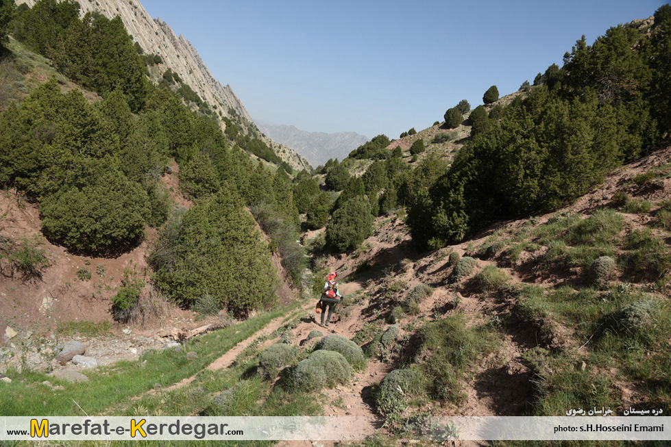 گردشگری هزارمسجد گردشگری هزارمسجد