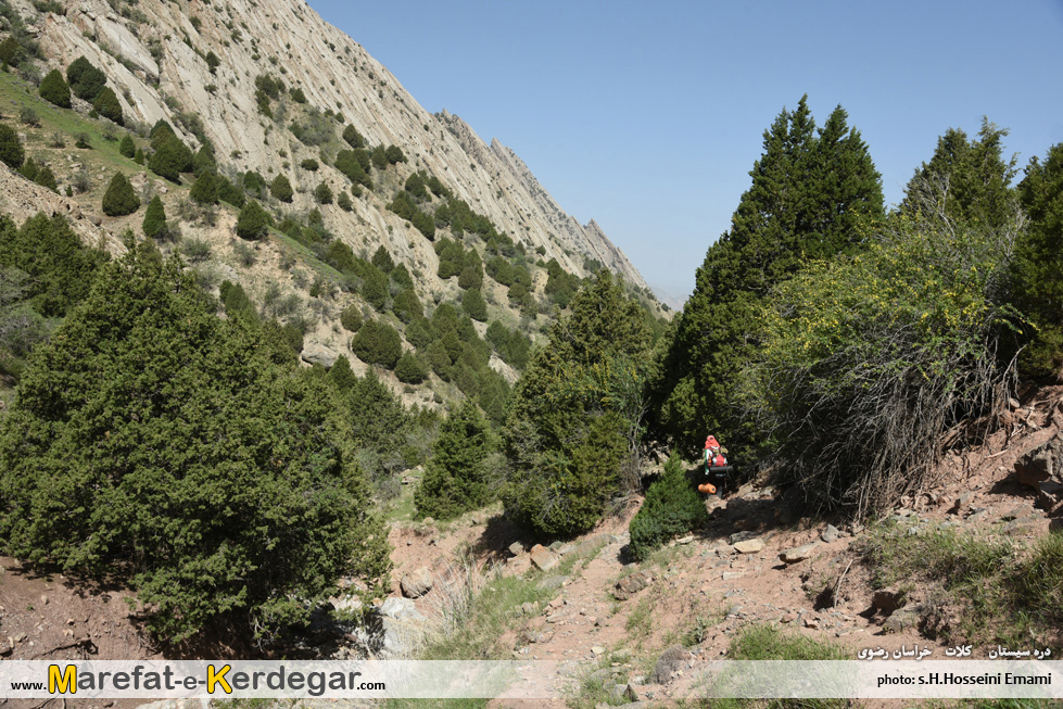 گردشگری هزارمسجد گردشگری هزارمسجد