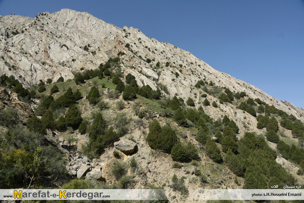 گردشگری هزارمسجد گردشگری هزارمسجد