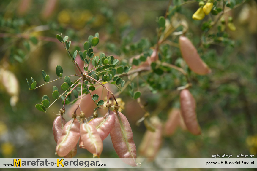 دره های خراسان رضوی دره های خراسان رضوی