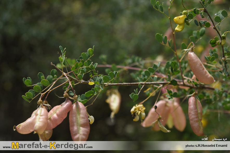 دره های خراسان رضوی دره های خراسان رضوی