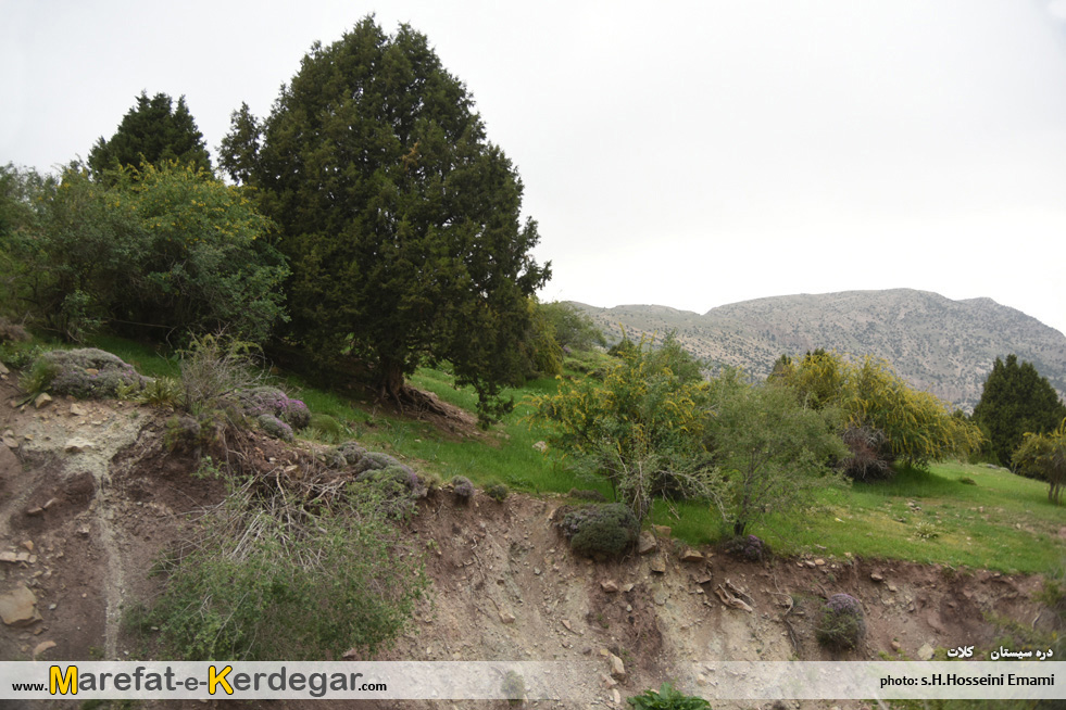 دره پیمایی در ایران دره پیمایی در ایران