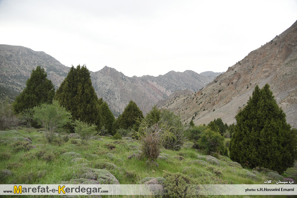 کوه های هزارمسجد کوه های هزارمسجد