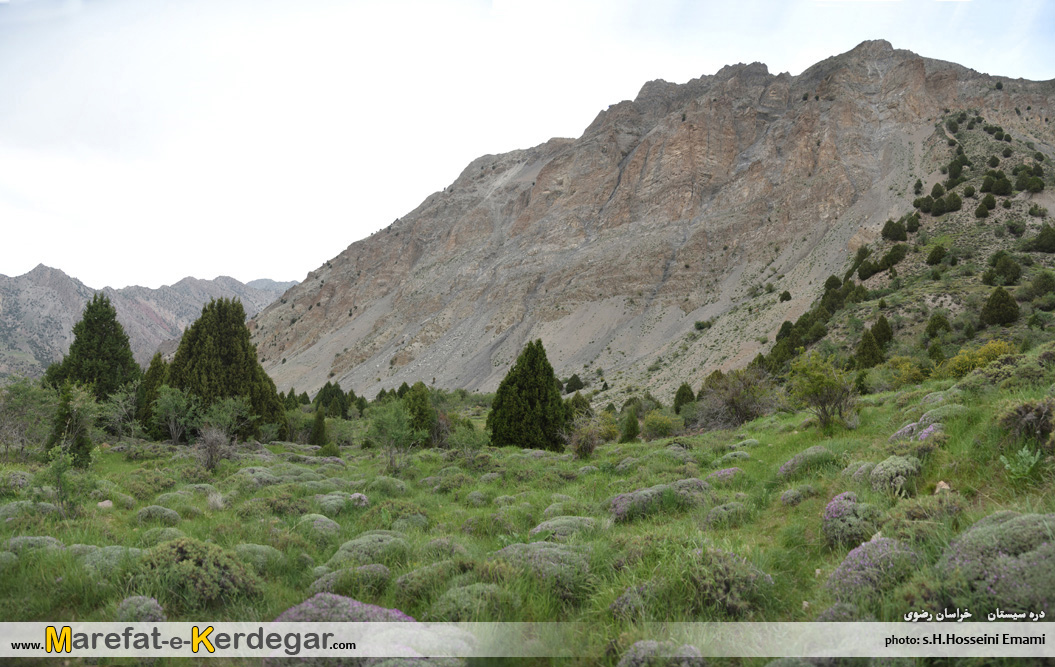 کوه های هزارمسجد کوه های هزارمسجد