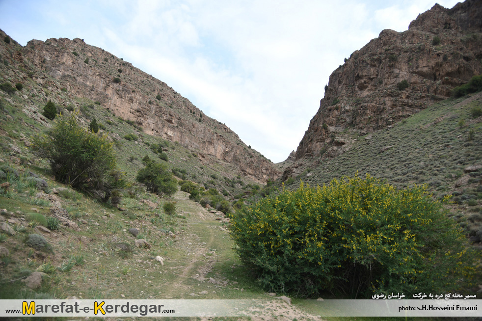 دره نوردی در هزارمسجد دره نوردی در هزارمسجد