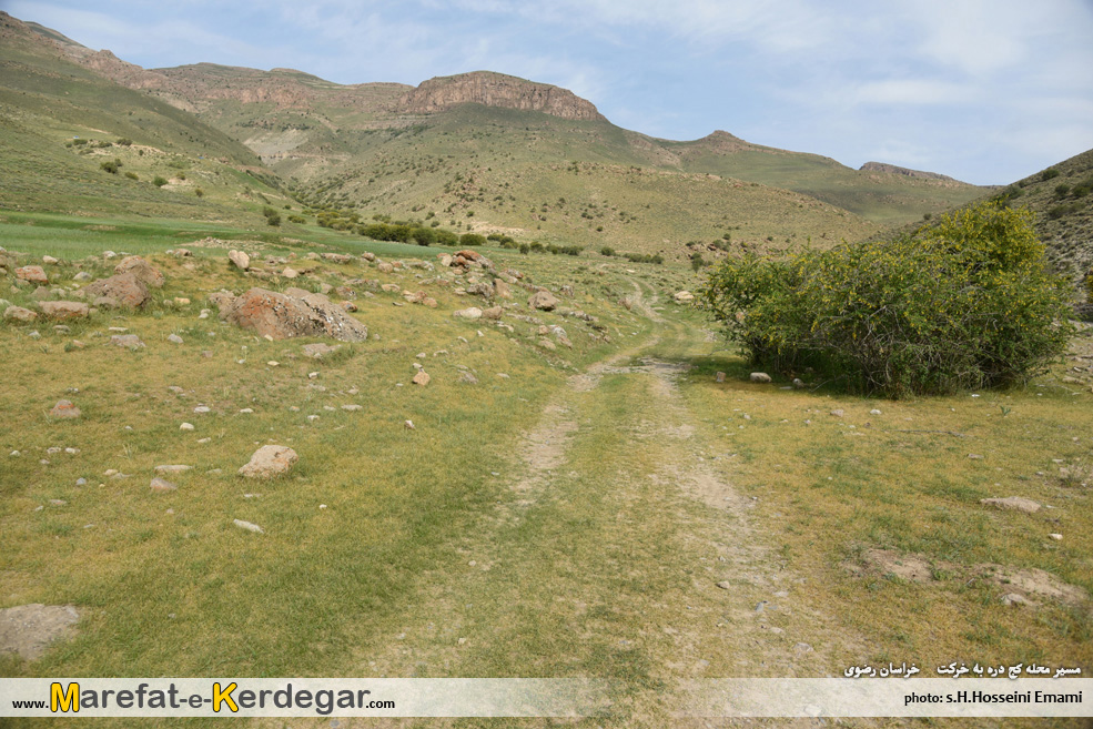 دره نوردی در ایران دره نوردی در ایران