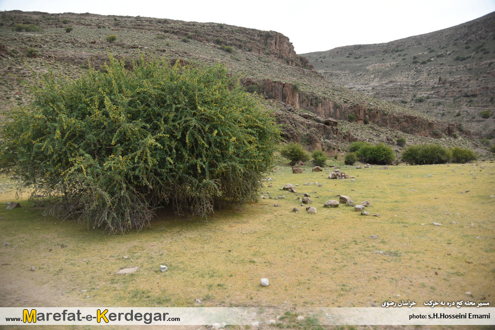طبیعت بهاری مشهد طبیعت بهاری مشهد