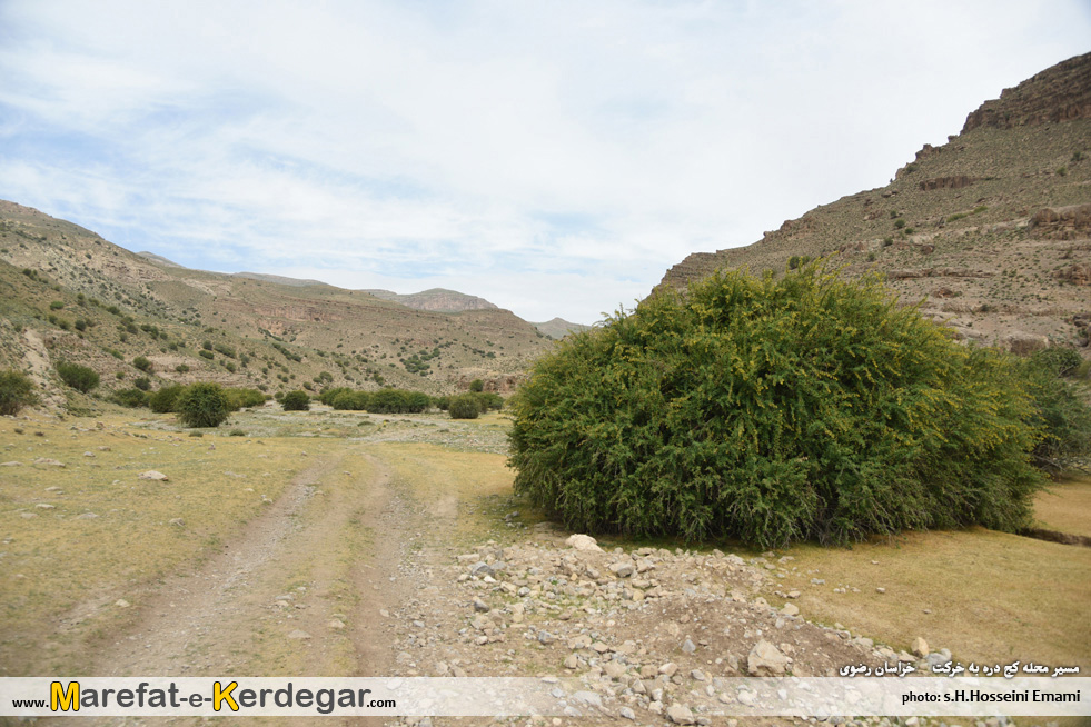 طبیعت بهاری خراسان رضوی طبیعت بهاری خراسان رضوی