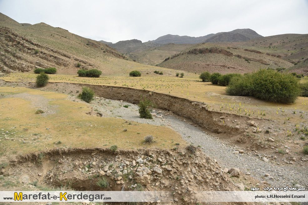 طبیعت بهاری خراسان رضوی طبیعت بهاری خراسان رضوی