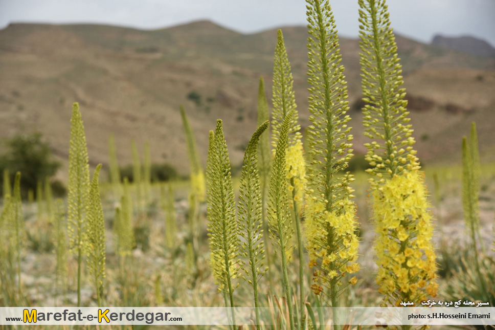 طبیعت بهاری استان خراسان رضوی طبیعت بهاری استان خراسان رضوی