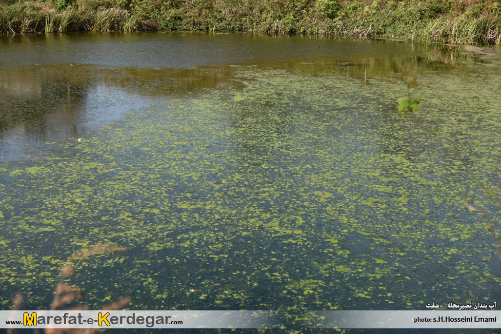 آب بندان های شفت