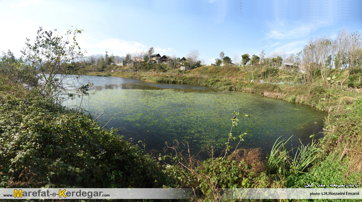 آب بندان های شفت