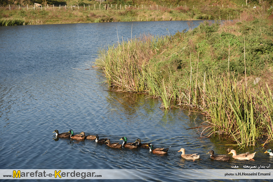 جاهای دیدنی شفت