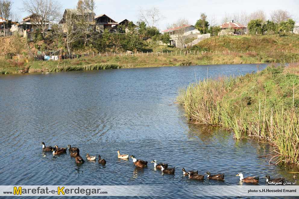 جاهای دیدنی شفت
