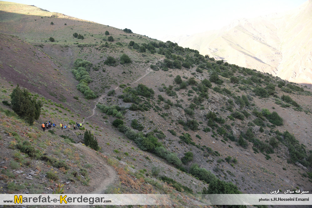 طبیعت الموت طبیعت الموت