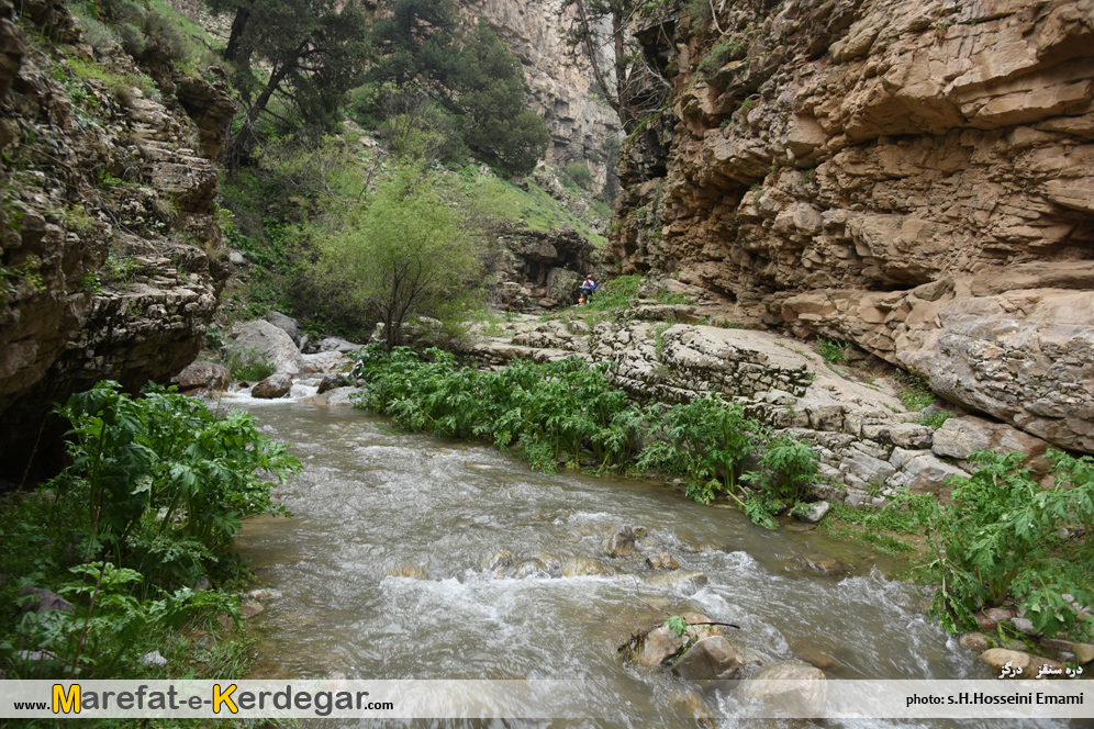 بهار هزارمسجد بهار هزارمسجد