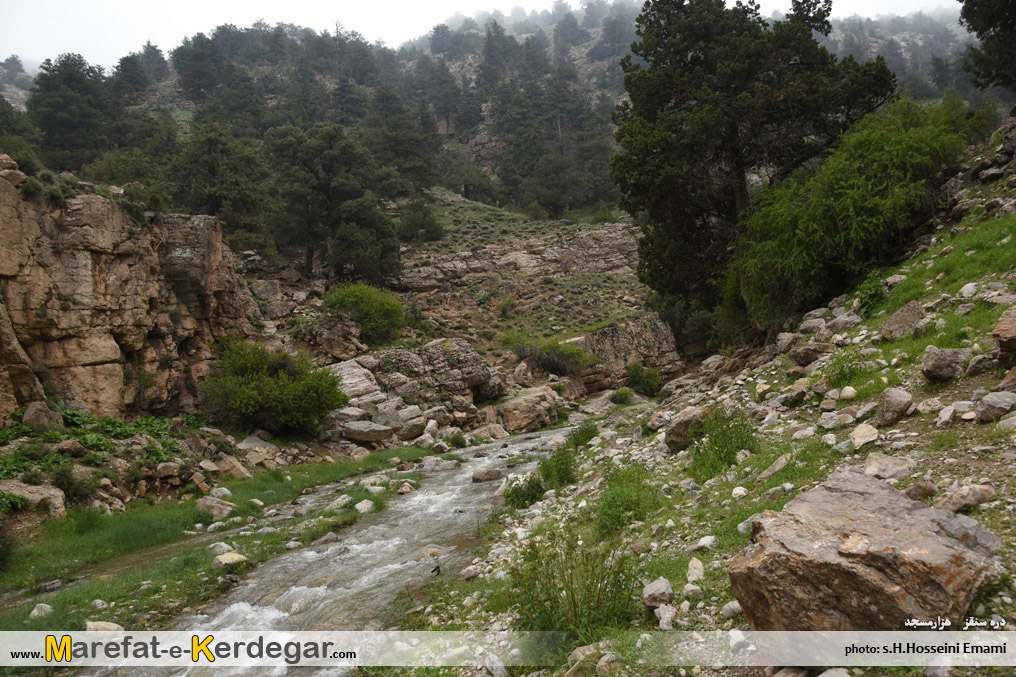 گردشگری هزارمسجد گردشگری هزارمسجد