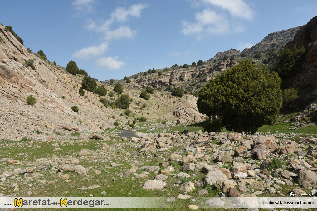 طبیعت بهاری درگز طبیعت بهاری درگز