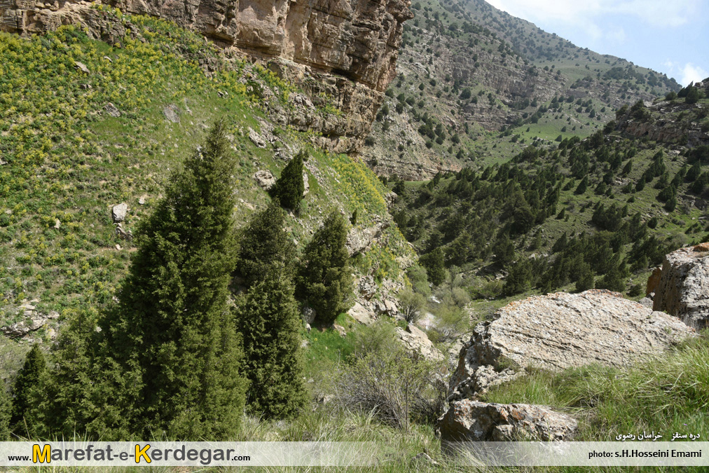 درگز گردی درگز گردی