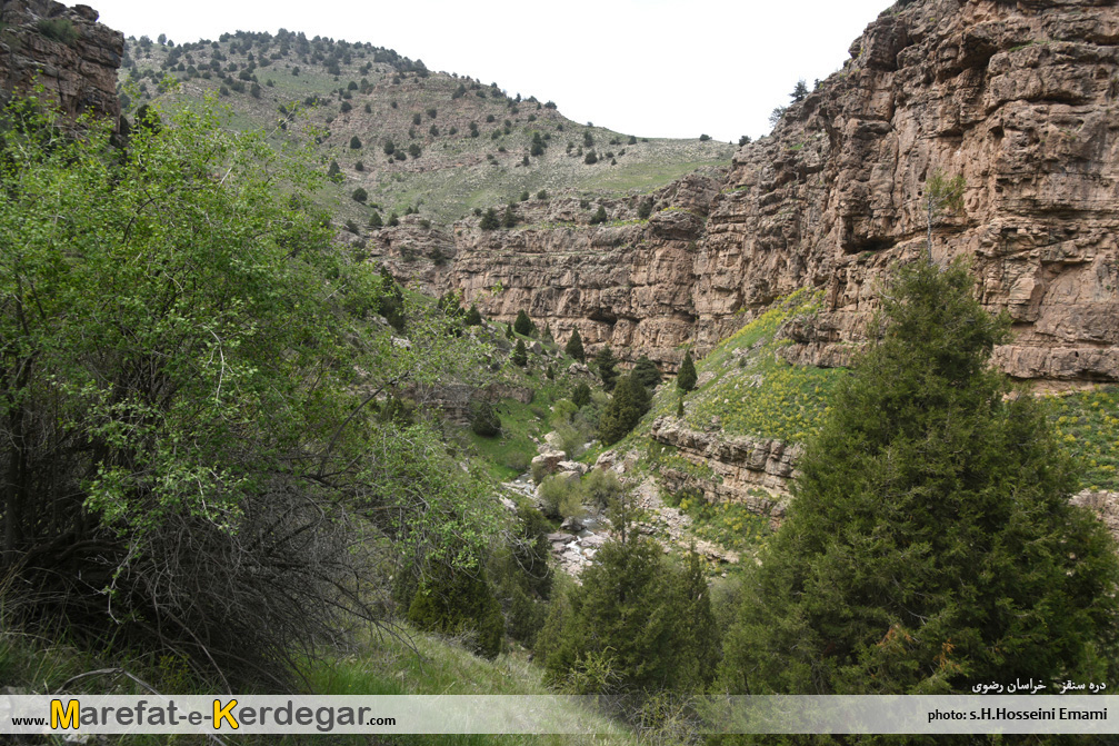 درگز گرام درگز گرام