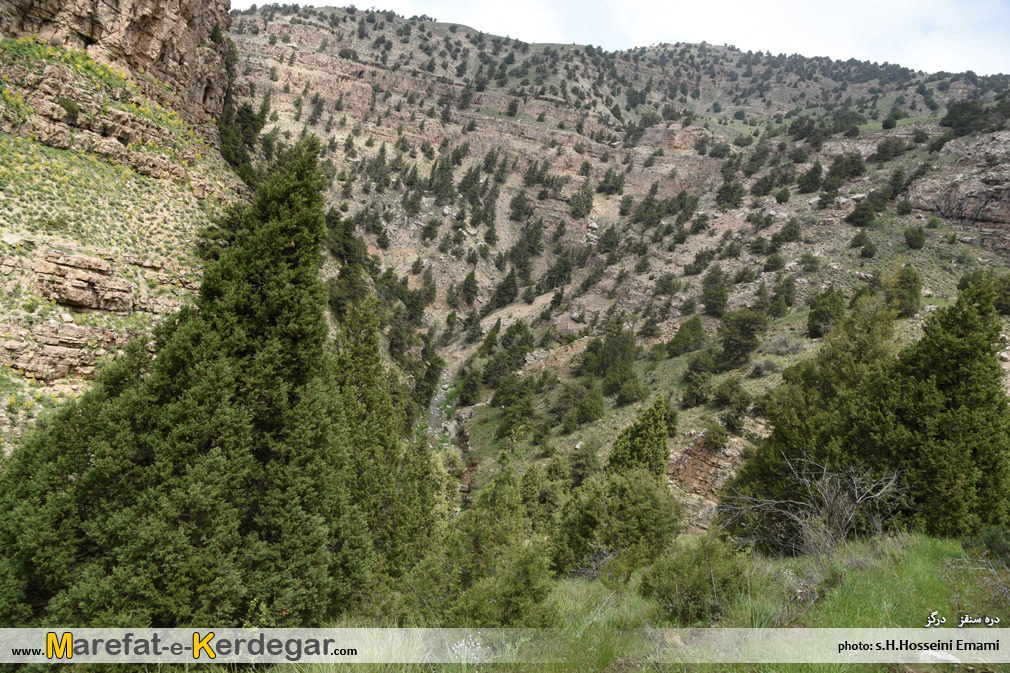 کوه های هزارمسجد کوه های هزارمسجد