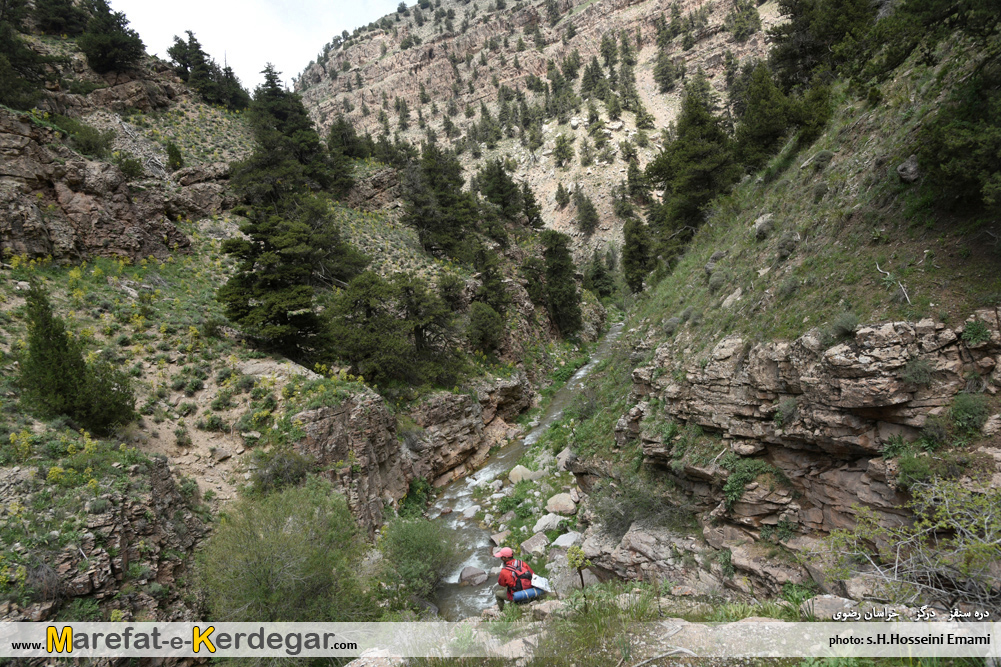 کوه های هزارمسجد کوه های هزارمسجد