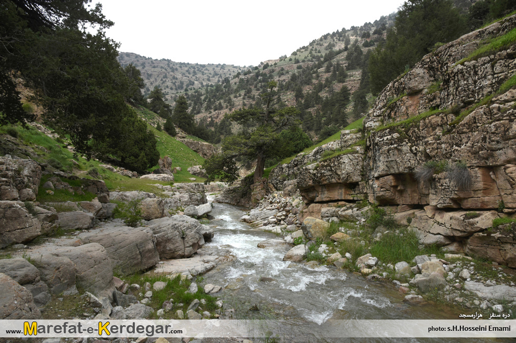 کوه های درگز کوه های درگز