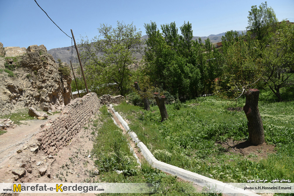 زندگی در هزارمسجد زندگی در هزارمسجد