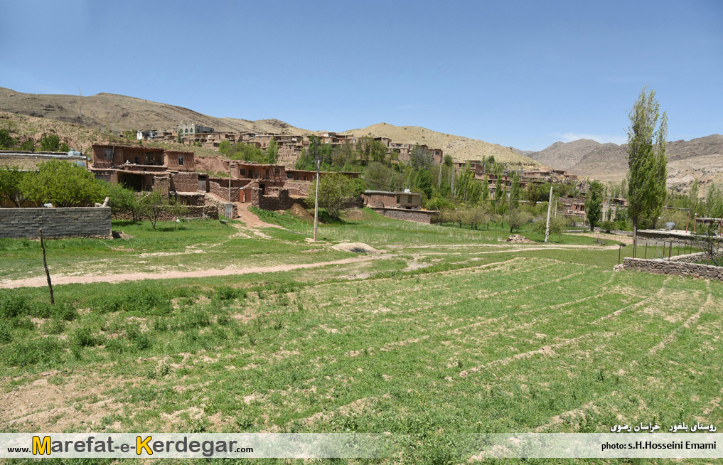 زندگی در هزارمسجد زندگی در هزارمسجد