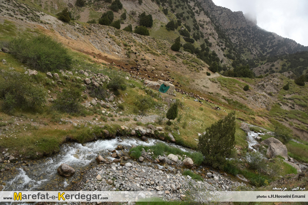 جاهای دیدنی هزارمسجد جاهای دیدنی هزارمسجد