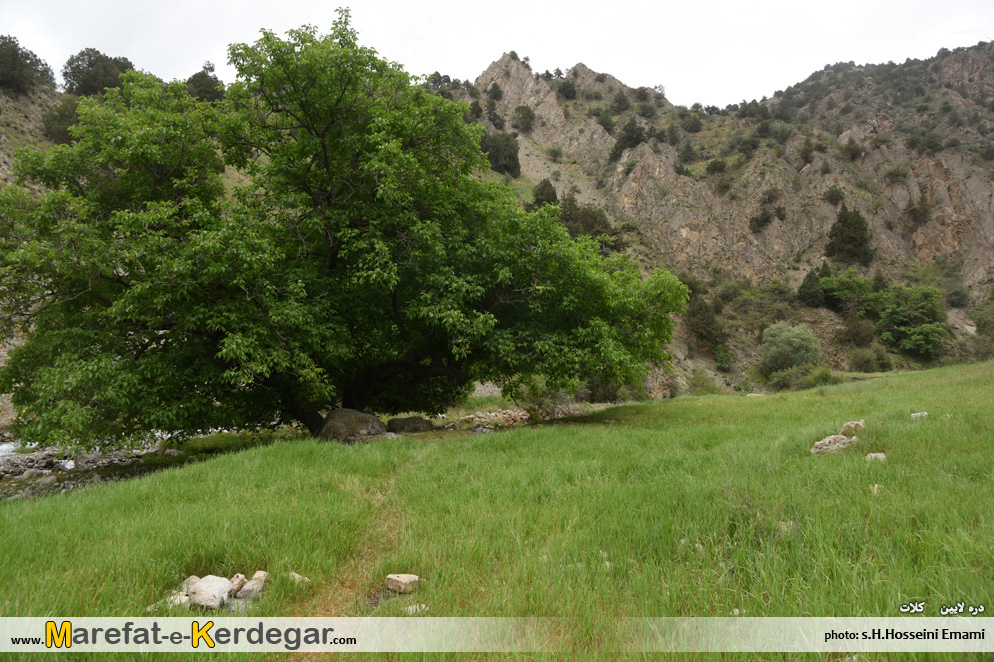 جاهای دیدنی هزارمسجد جاهای دیدنی هزارمسجد