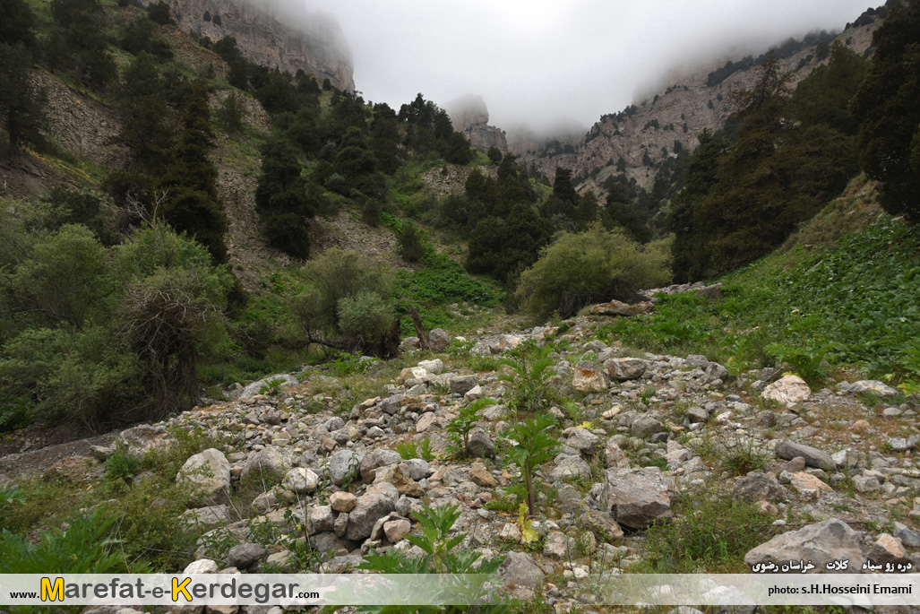 دره زوسیاه دره زوسیاه