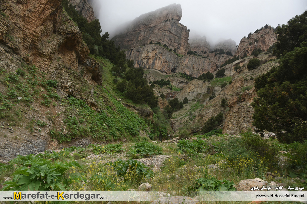دره زو سیاه دره زو سیاه