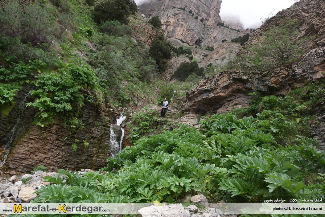 آبشار زوسیاه کلات آبشار زوسیاه کلات