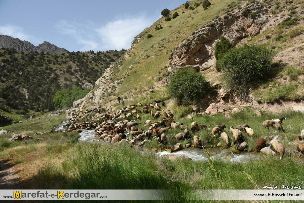 روستای زو بالا کلات روستای زو بالا کلات